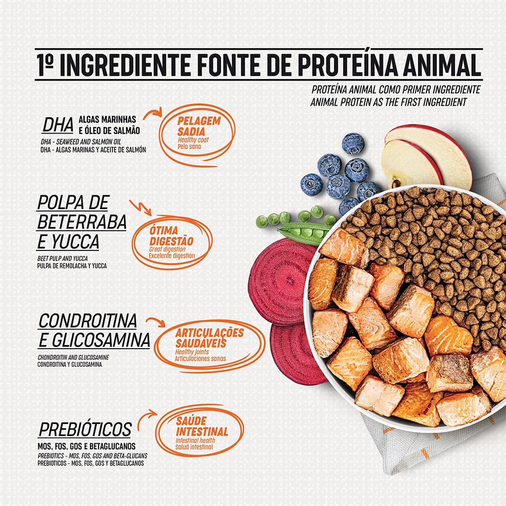 Ração Select Digestão Equilibrada Para Cães Adultos de Porte Mini e Pequeno