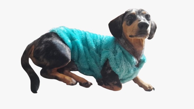 Casaco Ted Sob Medida