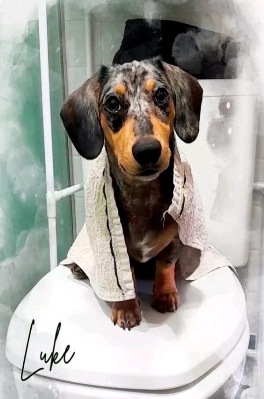 Placa Personalizada 21x30