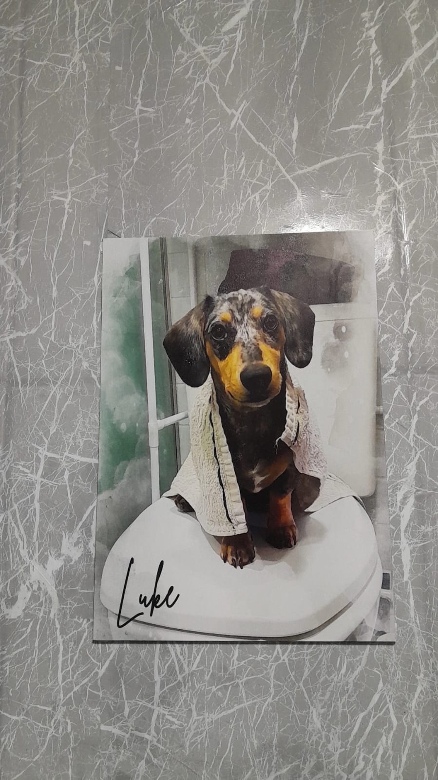 Placa Personalizada 21x30 - Imagem 2