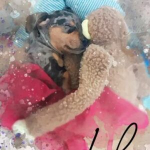 Placa Personalizada 40x60