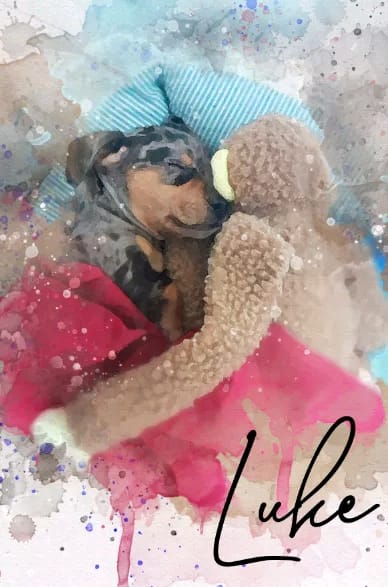 Placa Personalizada 40x60