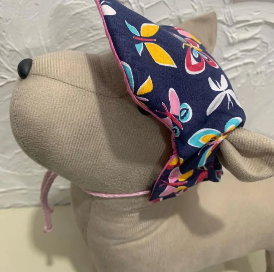 Boné Pet - Imagem 2