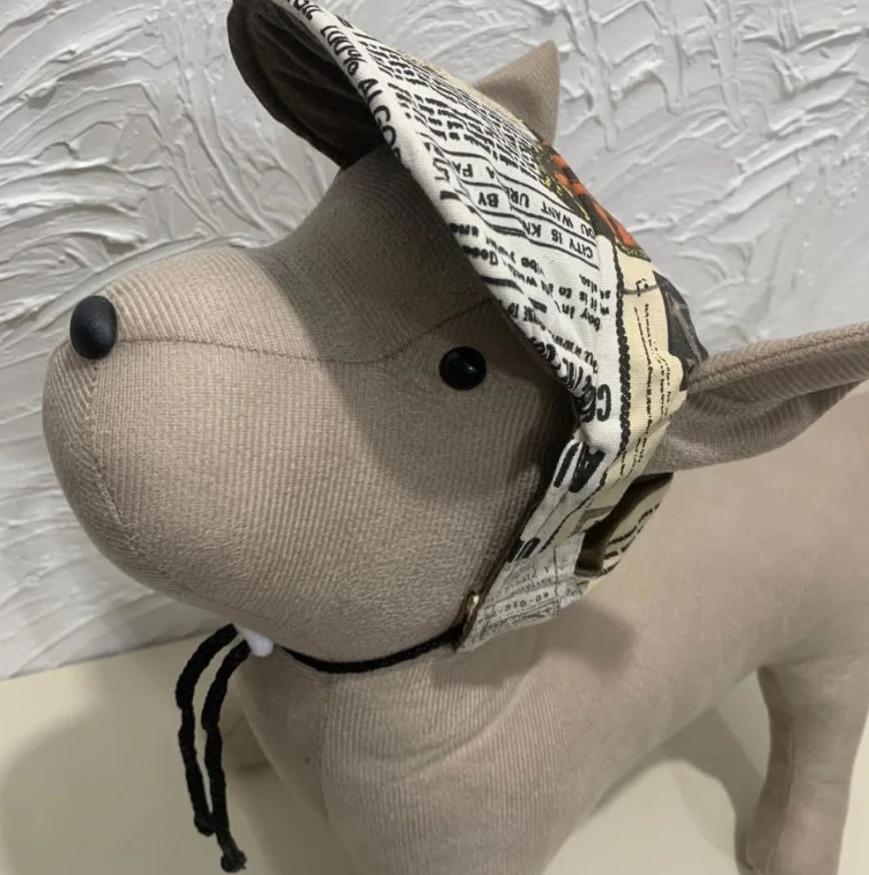 Boné Pet - Imagem 3