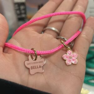 Coleira Fina com Identificação