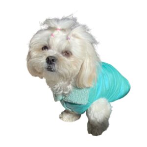 Colete Pet Sob Medida