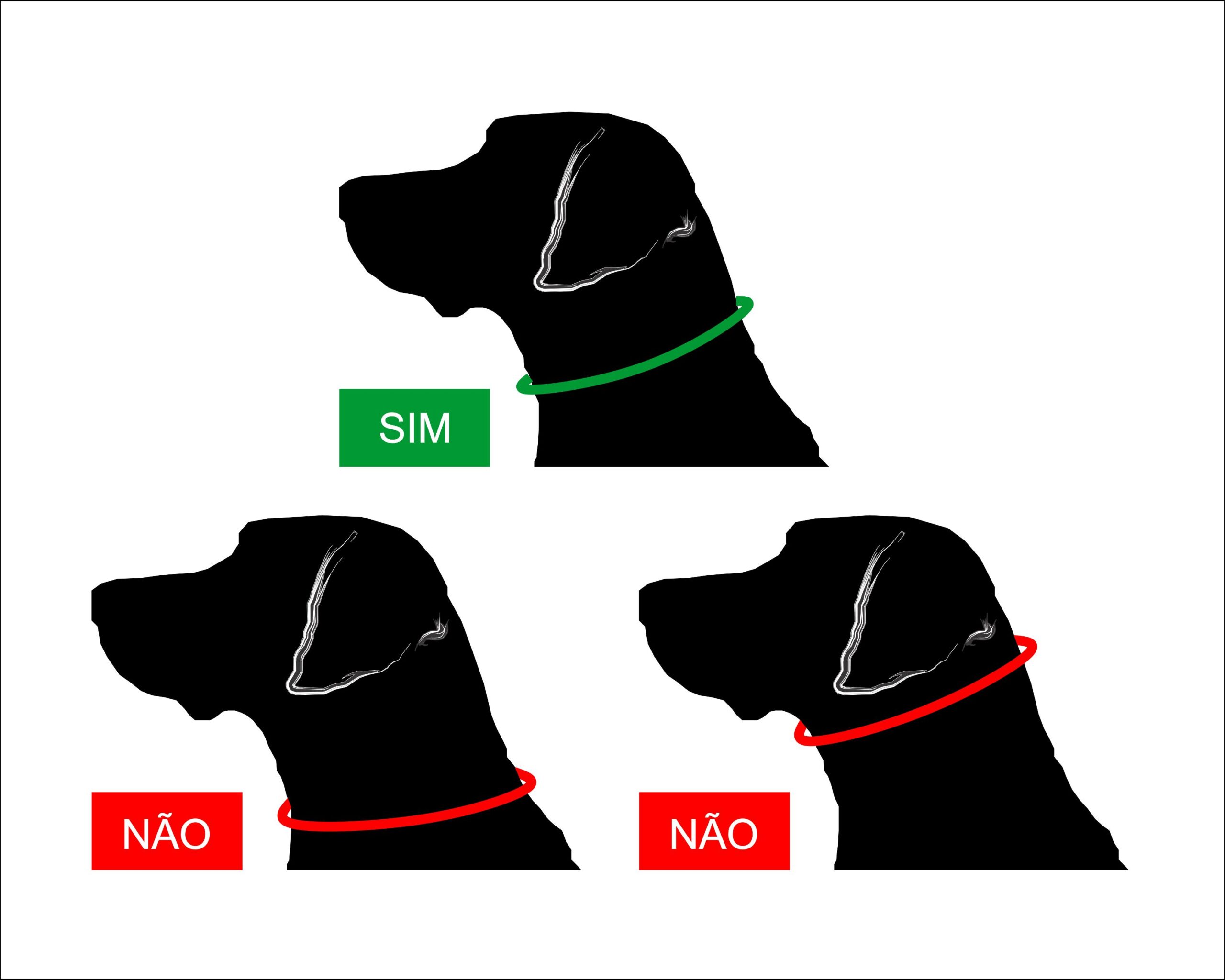 Bandana Sob Medida - Imagem 4