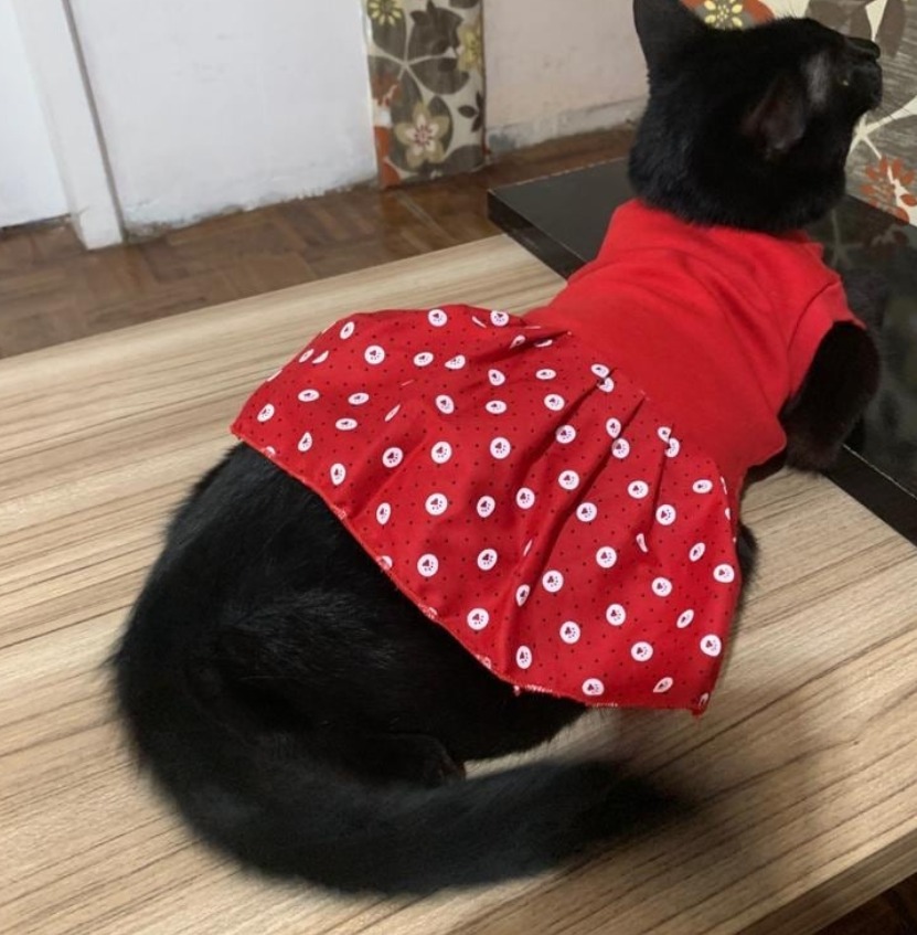 Vestido Pet Sob Medida - Imagem 5