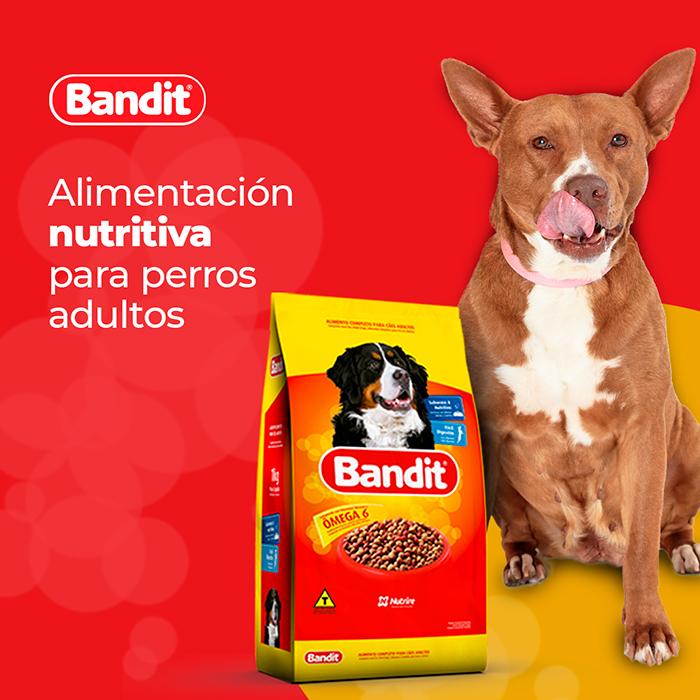Ração Bandit dog