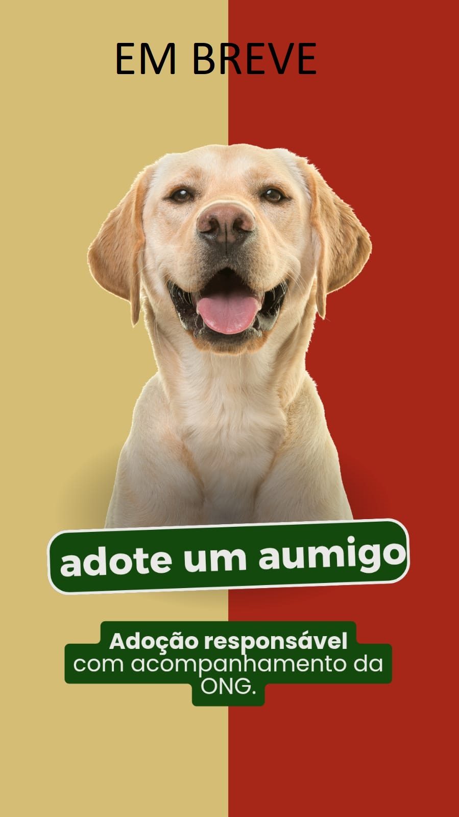 Adote um aumigo EM BREVE
